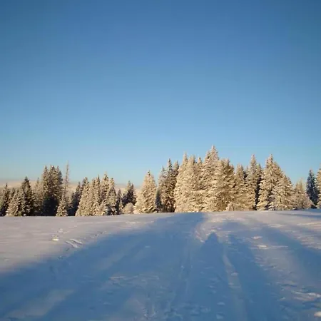Apartmán Appartementhaus *